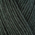 Berroco Ultra Wool Chunky Yarn in the color Rosemary 43158