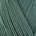 Berroco Ultra Wool superwash worsted Weight Yarn in the color 3324 Sage