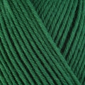 Berroco Ultra Wool Yarn in the color Holly 3335